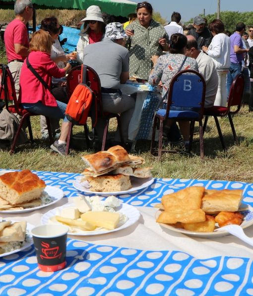 bir piknik alanı bir piknik alanı