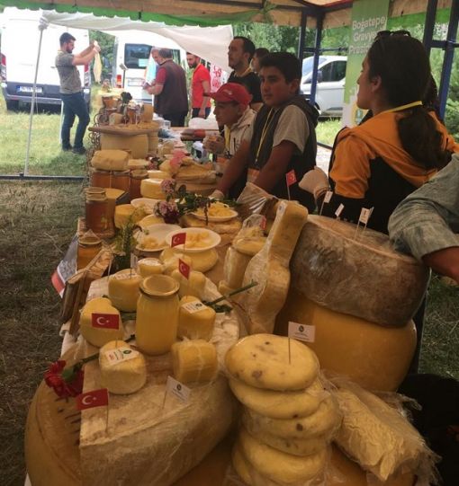  peynir pazarı