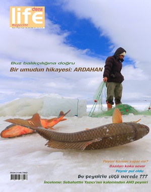  cheese life magazine ocak sayısı