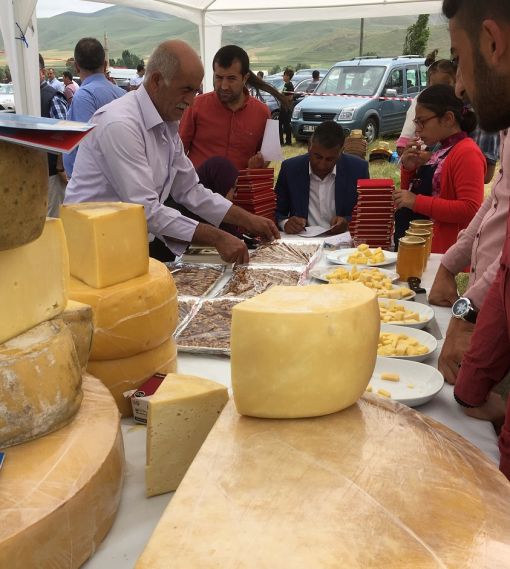  Dikme köyü gravyer ve kaşar festivali