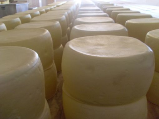  Kars cheese life magazine de tanıtıldı