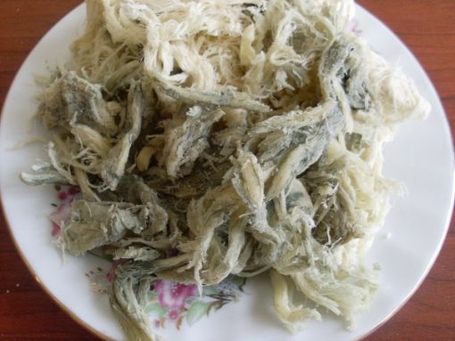 küflü peynir kanser yapar mı? küflü peynir kanser yapar mı?