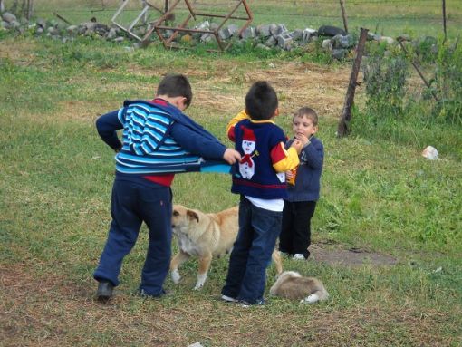  peynirin izinde objektife takılanlar