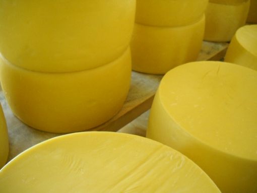  peynir ve şeker ilişkisi