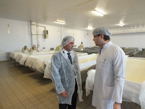 Yardımcı süt ürünleri tesisleri Yardımcı süt ürünleri tesisleri